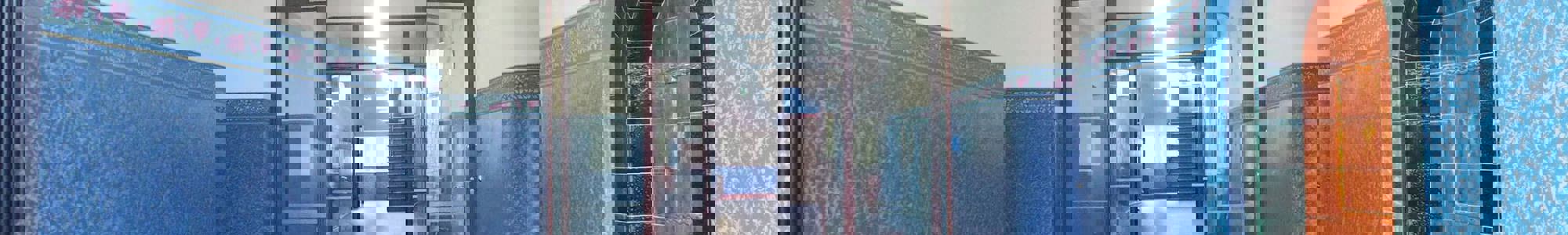 Kopfbilder Flur Marienschule